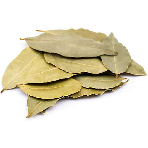 برگ خلیج