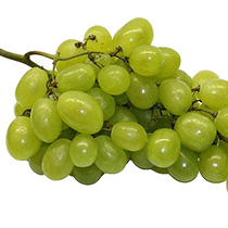 انگور