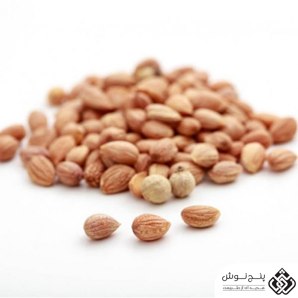 مهلب