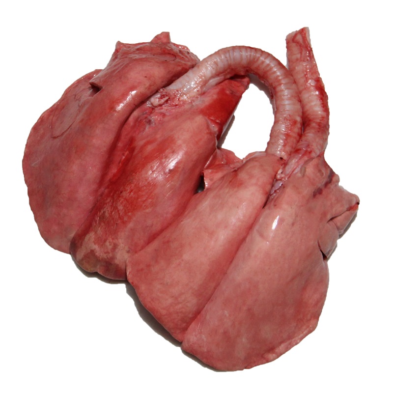 ریه گوسفند (جگر سفید)