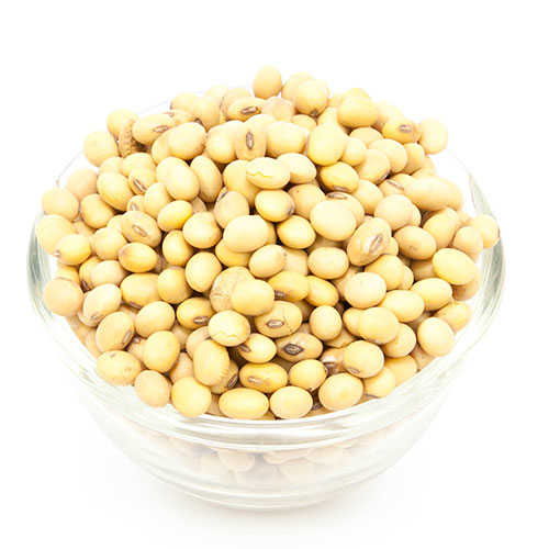 سویا خشک شده